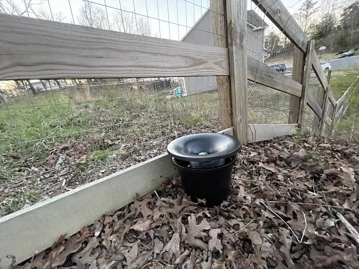 Total Pest Control Picture 8
