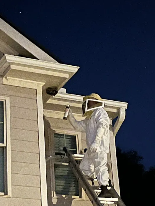 Total Pest Control Picture 4
