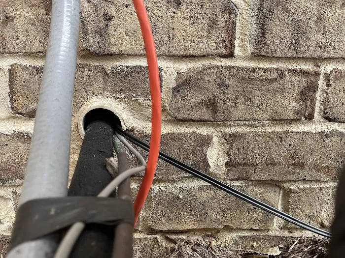 Total Pest Control Picture 10