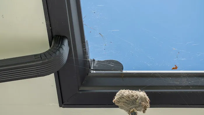 Total Pest Control Picture 5