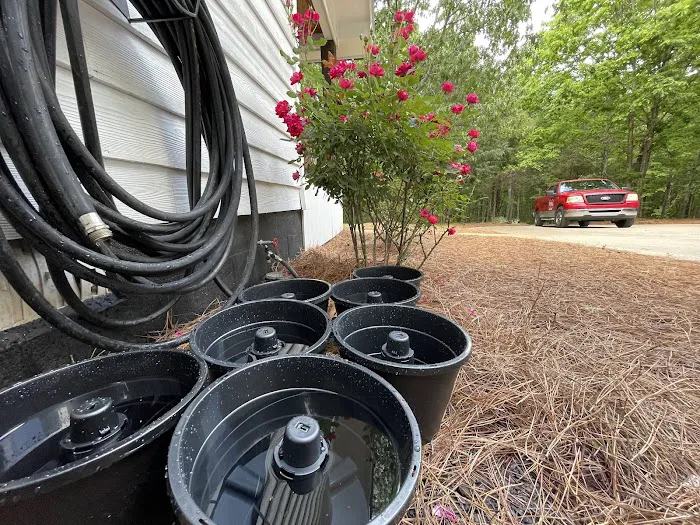 Total Pest Control Picture 6