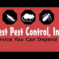Best Pest Control Inc ico