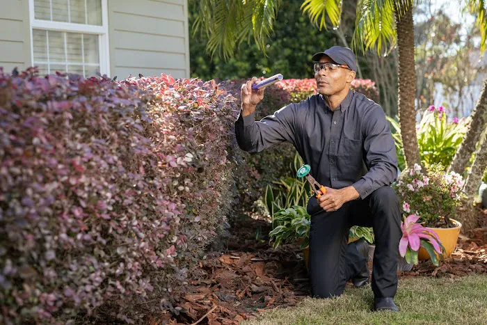 Active Pest Control Picture 6