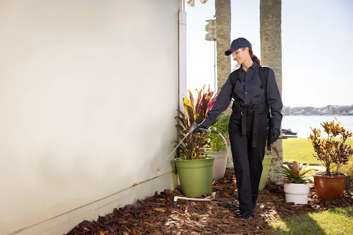 Active Pest Control Picture 3