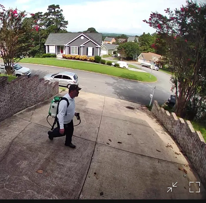 Lookout Pest Control Picture 5