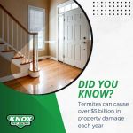 Knox Pest Control - Kennesaw