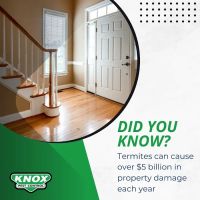 Knox Pest Control - Kennesaw ico