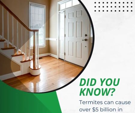 Knox Pest Control - Kennesaw
