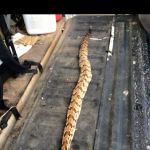 Global Pest Management