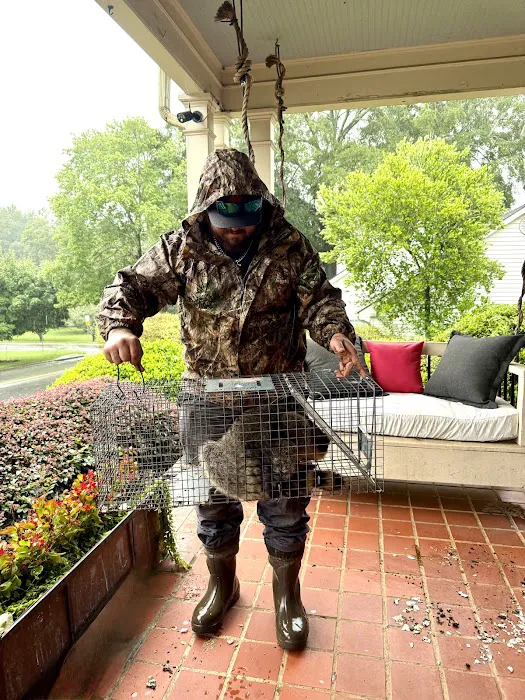 Beaver Busters LLC - Wildlife Removal Picture 8