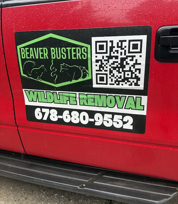 Beaver Busters LLC - Wildlife Removal Picture 2