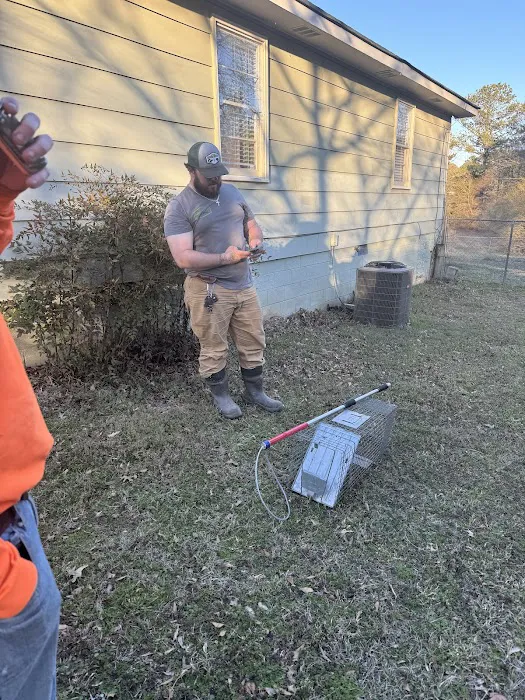 Beaver Busters LLC - Wildlife Removal Picture 9