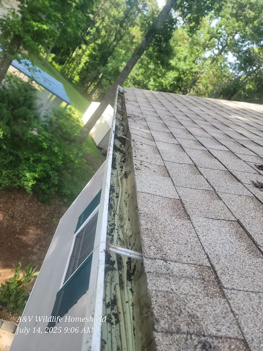 A & V Wildlife HomeShield - WildLife Removal Picture 3