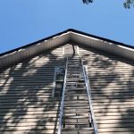 A & V Wildlife HomeShield - WildLife Removal
