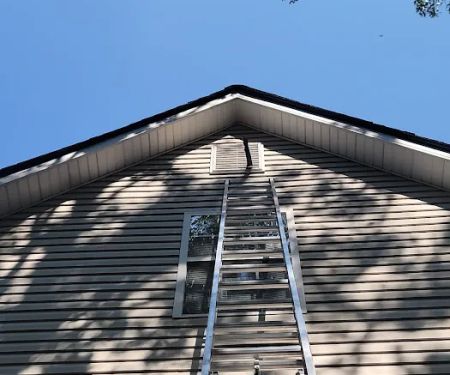 A & V Wildlife HomeShield - WildLife Removal