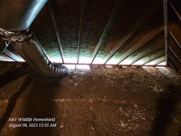 A & V Wildlife HomeShield - WildLife Removal Picture 7