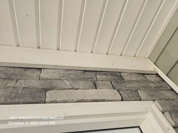 A & V Wildlife HomeShield - WildLife Removal Picture 9