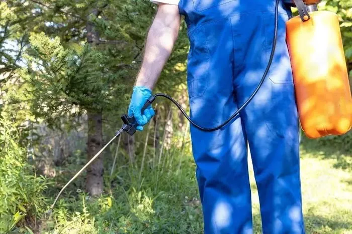 Extinguish Termite and Pest Control Picture 8