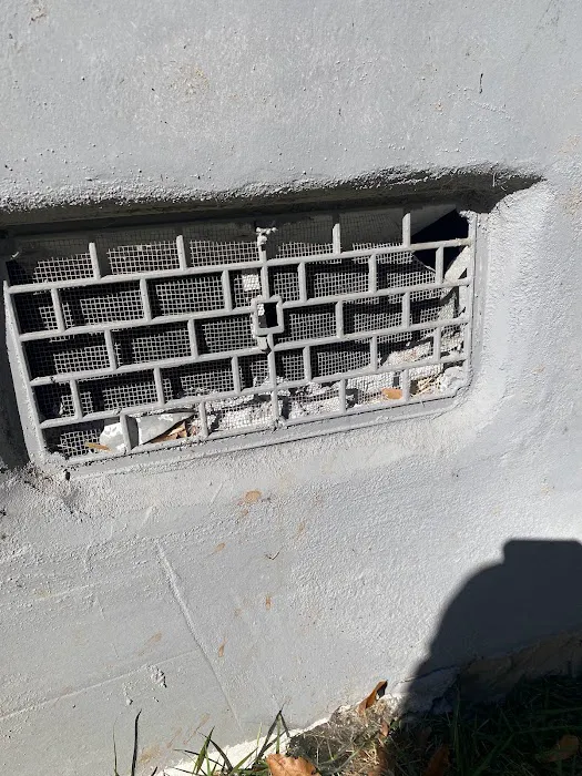 Extinguish Termite and Pest Control Picture 7