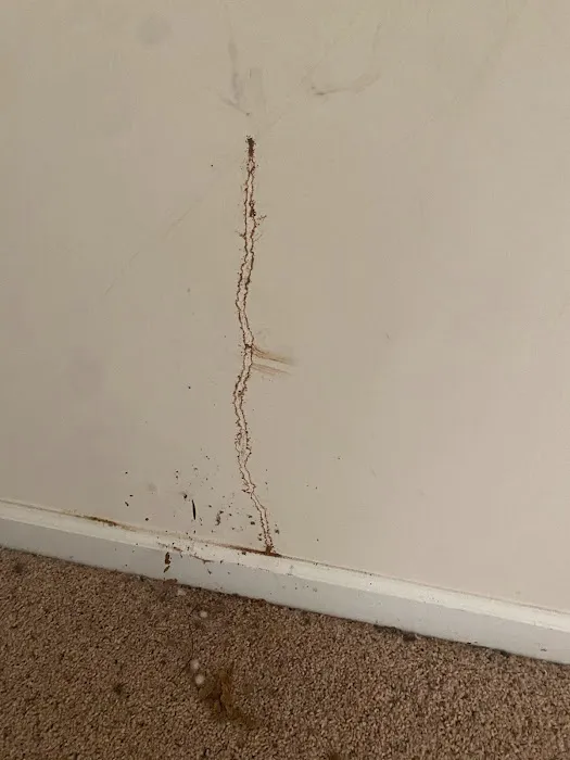 Extinguish Termite and Pest Control Picture 1