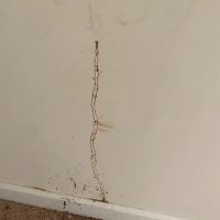 Extinguish Termite and Pest Control ico