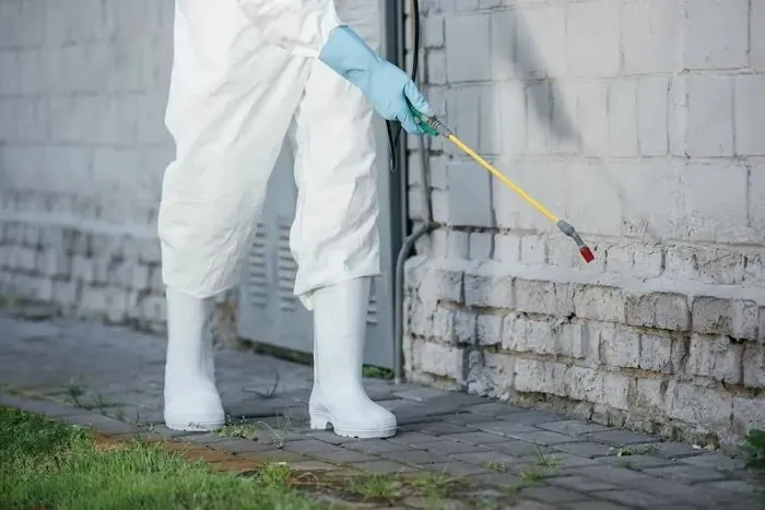 Extinguish Termite and Pest Control Picture 10