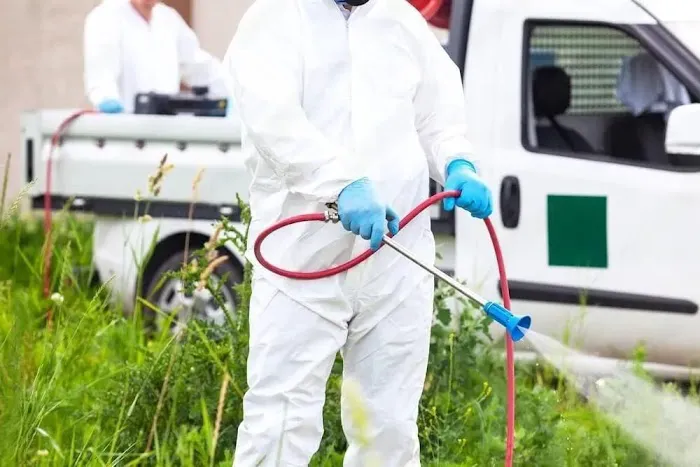 Extinguish Termite and Pest Control Picture 6