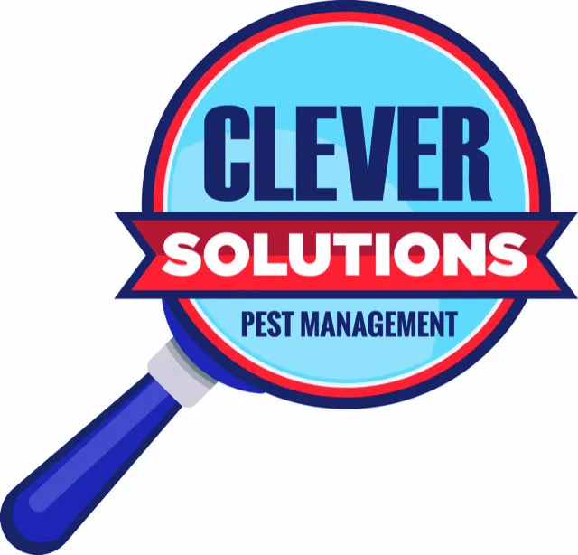 Clever Solutions LLC Picture 2