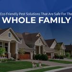 Red Coat Pest Solutions