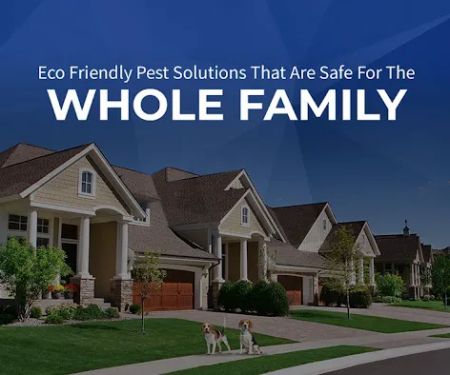 Red Coat Pest Solutions