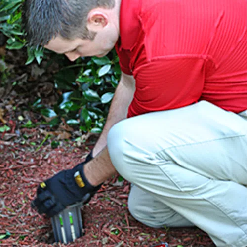 Elite Pest Control & Wildlife Removal Inc Picture 9