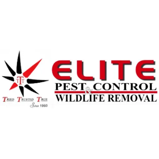 Elite Pest Control & Wildlife Removal Inc Picture 10