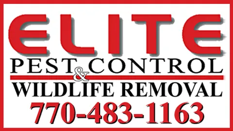 Elite Pest Control & Wildlife Removal Inc Picture 5