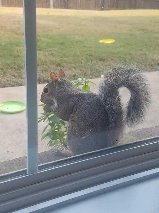 Elite Pest Control & Wildlife Removal Inc Picture 7