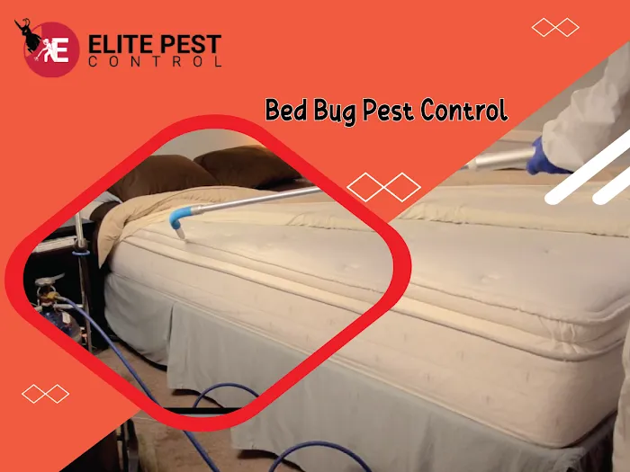 Elite Pests Control LLC Picture 7