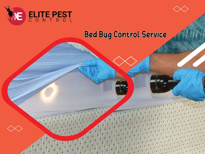 Elite Pests Control LLC Picture 1