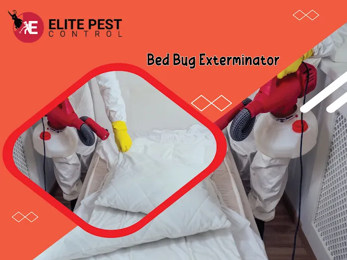 Elite Pests Control LLC Picture 10