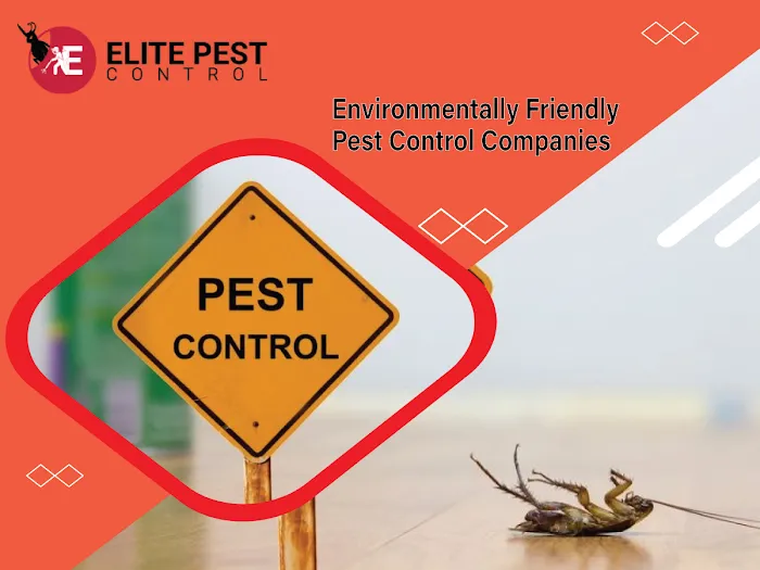 Elite Pests Control LLC Picture 9