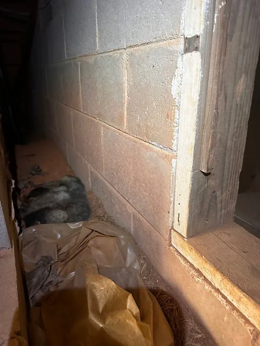 Atlanta Wildlife Solutions LLC Picture 5