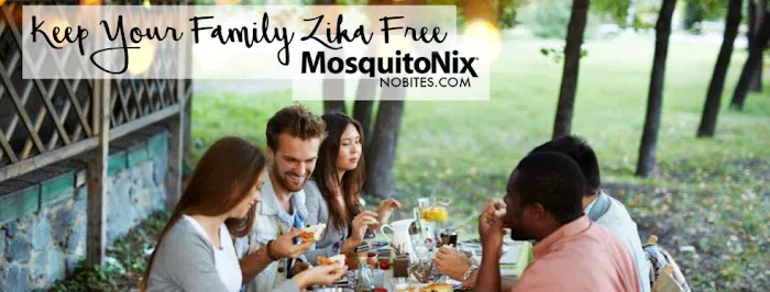 MosquitoNix Atlanta Picture 3