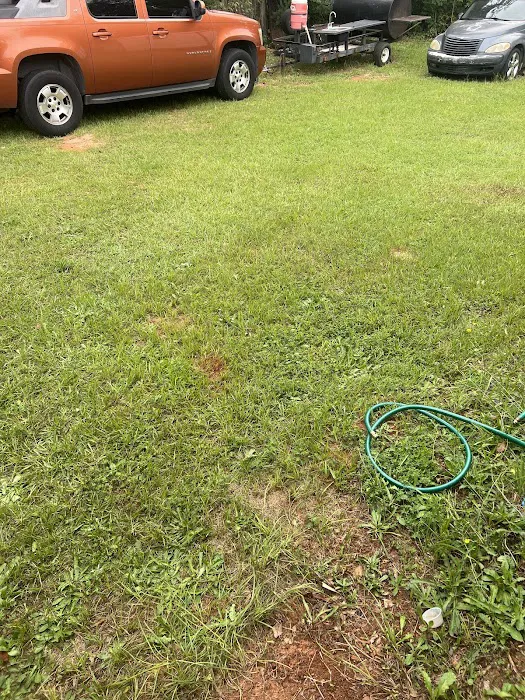 Insight Pest Solutions Picture 1
