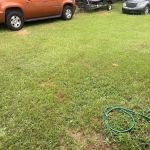 Insight Pest Solutions