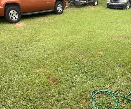Insight Pest Solutions