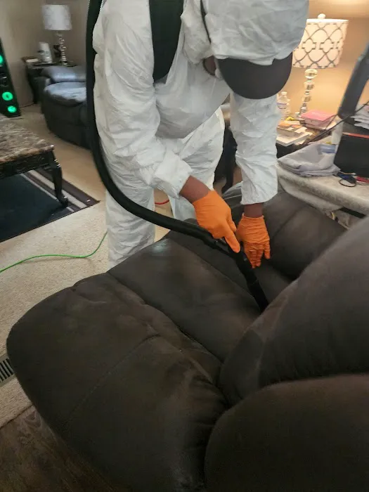 Splatterbugs Pest Control Picture 1