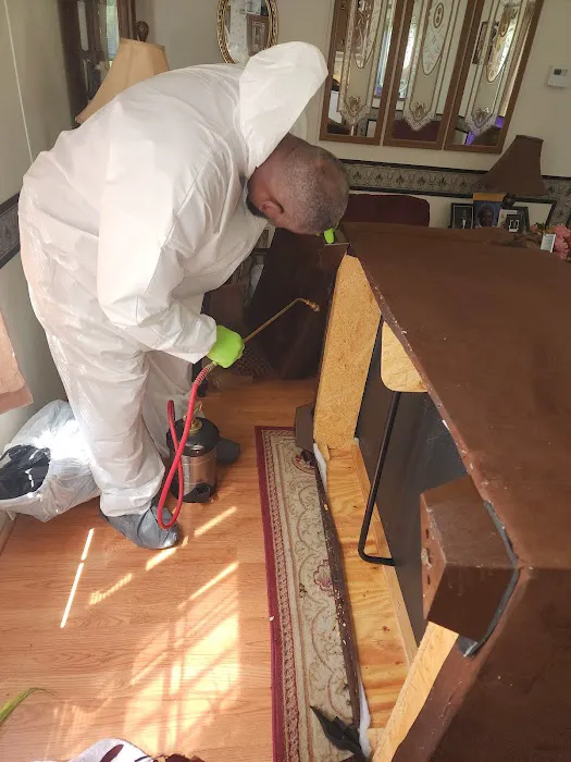 Splatterbugs Pest Control Picture 5