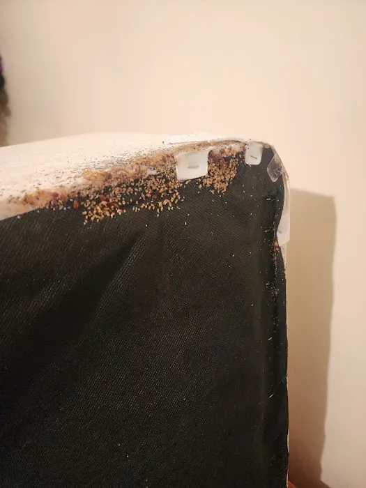 Splatterbugs Pest Control Picture 9