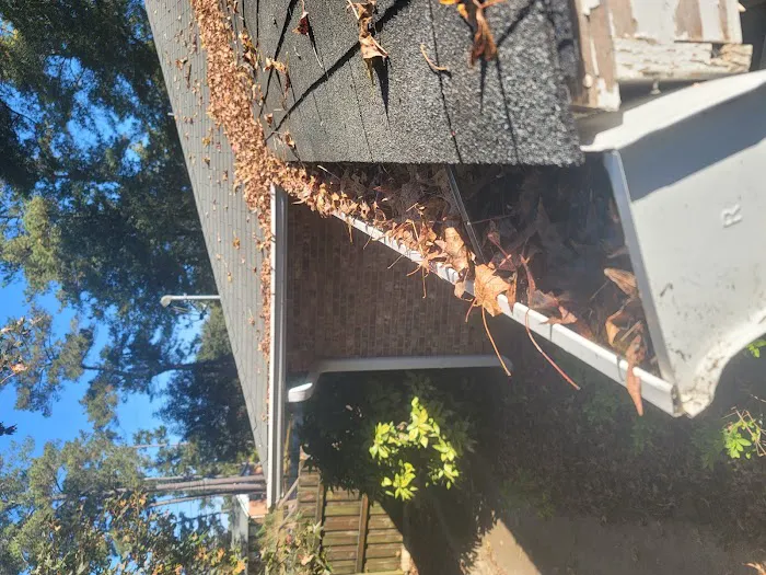 Stokes Mosquito and Pest Services Picture 6