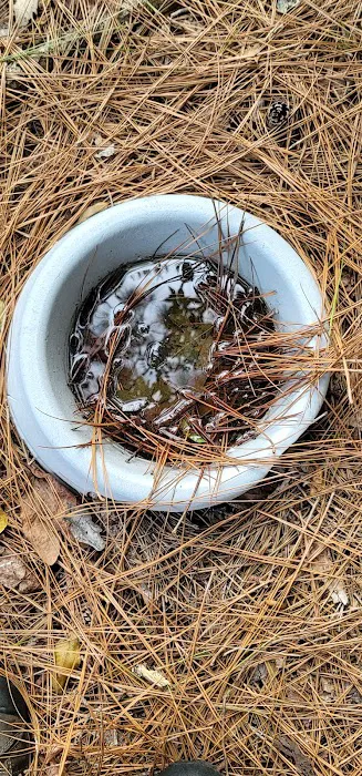 Stokes Mosquito and Pest Services Picture 10