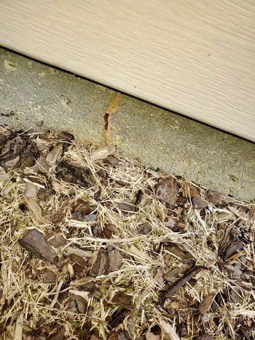 Mountaineer Pest Services Picture 6