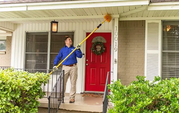 Jury Pest Services Picture 3